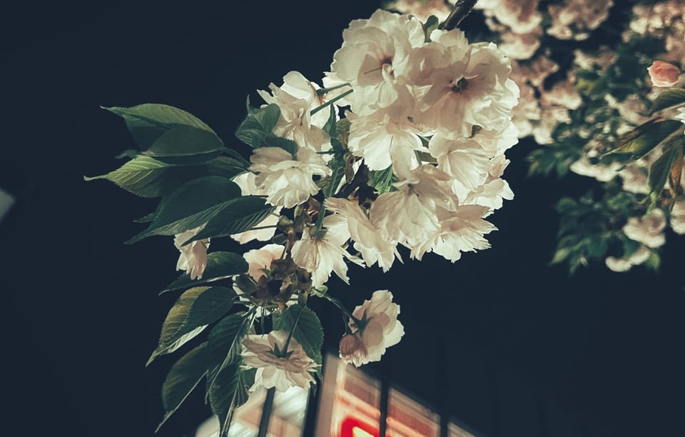 THE ART OF BEGINNING AGAIN